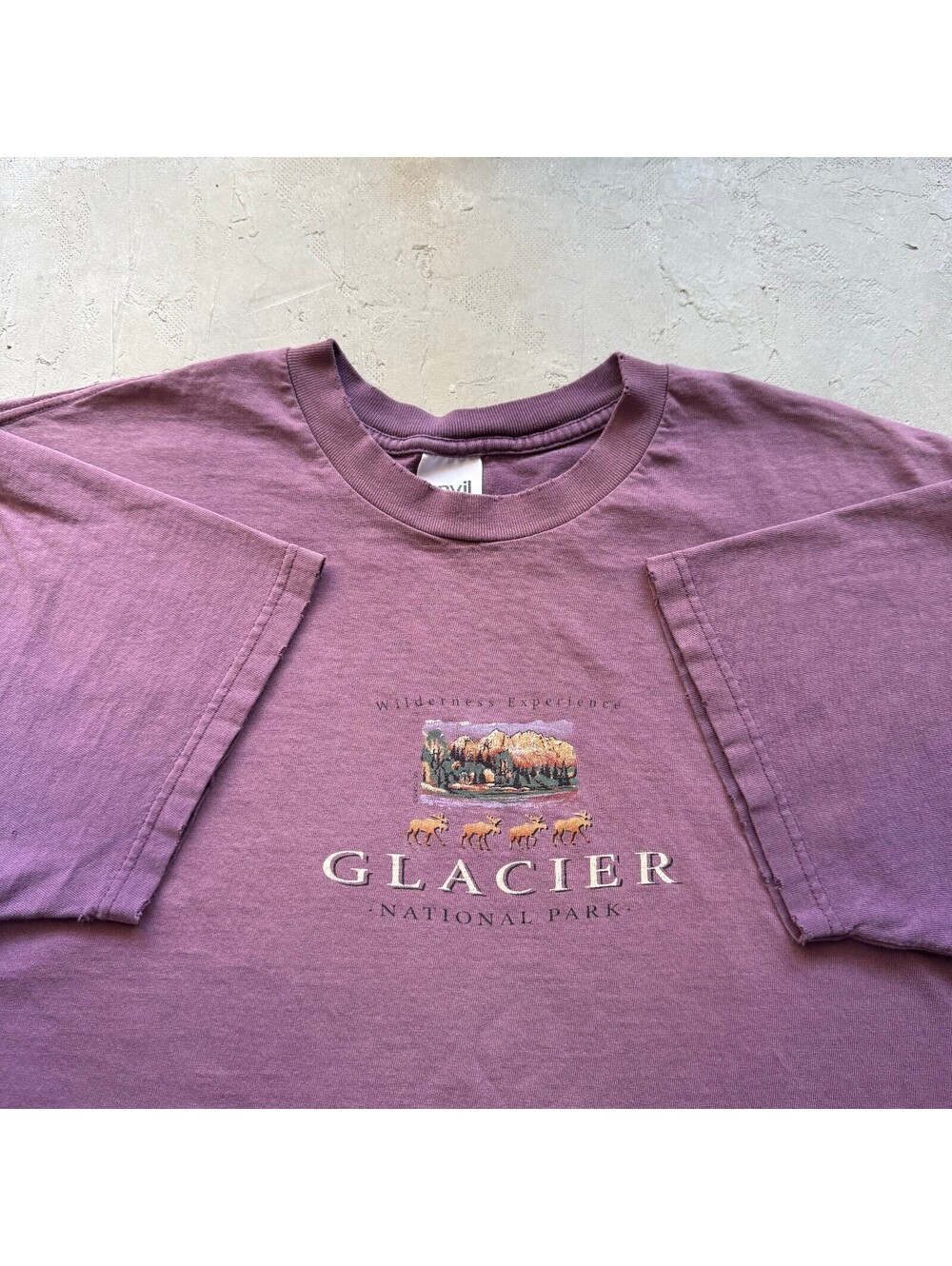 Vintage 1990s Glacier National Park Moose Faded Purple T-Shirt  XL
